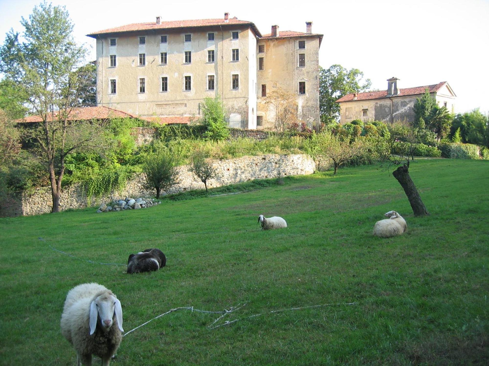 B&B Castello Di Camerletto Caselette Exteriör bild